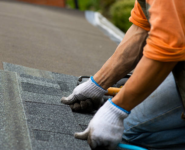 Best Local Roofing Companies  in Quincy, FL